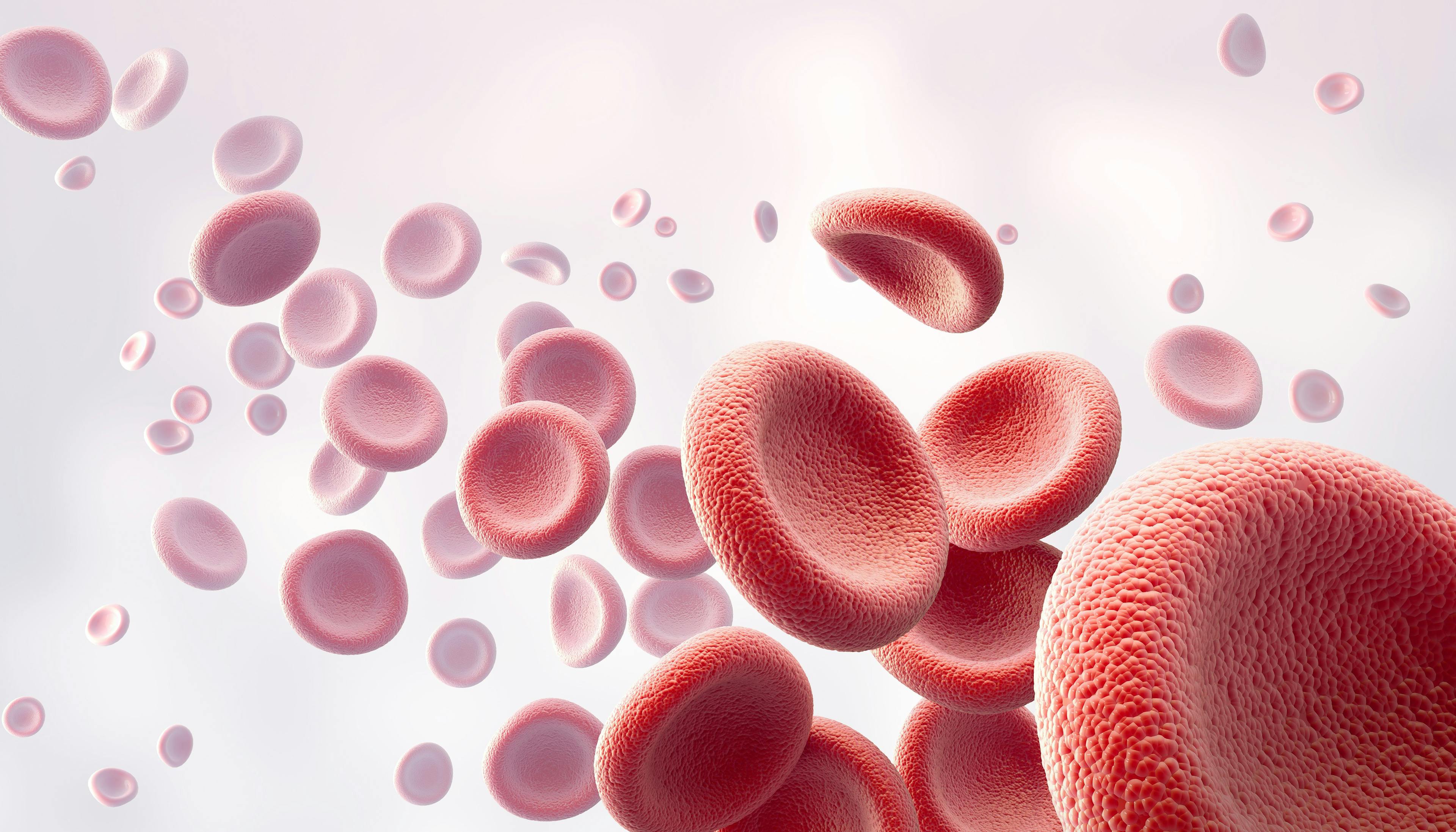 hematology and oncology | Image credit: Anusorn - stock.adobe.com